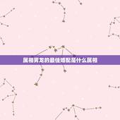 属相男龙的最佳婚配是什么属相，属龙人的婚姻配对最合适的哪个生肖