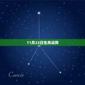 11月23日生肖运势，2022 年10月23日小运播报