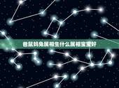 爸鼠妈兔属相生什么属相宝宝好，鼠妈兔爸生什么属相的宝宝好