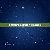 王者荣耀女英雄皮肤去掉所有服装，王者荣耀去掉所有服装