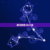 属马的在2021年，属马的人2021年多大