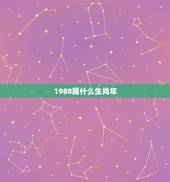 1988属什么生肖年，1988年属于什么生肖？