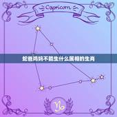 蛇爸鸡妈不能生什么属相的生肖，属鸡的妈妈和属蛇的爸爸生什么属相的宝宝好