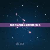 属虎的人今年运势怎么样2022，属虎今日运势