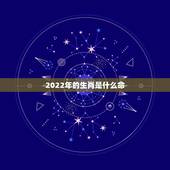 2022年的生肖是什么命，2022年五行属什么