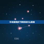 牛年属狗的下葬忌讳什么属相，属狗的人去世2019下葬哪一方最佳？