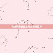马妈妈猴爸爸生什么属相最好，马爸爸和猴妈妈生什么生肖的孩子好