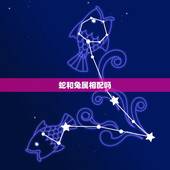 蛇和兔属相配吗，蛇和兔属相是否相配