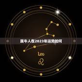属牛人在2023年运势如何，2023年属牛女全年运势