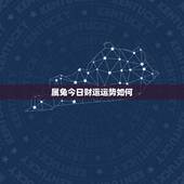 属兔今日财运运势如何，属兔的今年运势怎么样2021