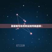 算算我今年的财运如何杨顺庚，请大师帮忙算算我今年的财运如何