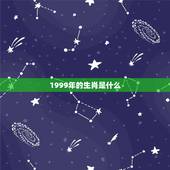 1999年的生肖是什么，1999年出生的，属相是什么？