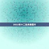 2022年十二生肖表图片，十二生肖年龄表