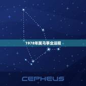 1978年属马事业运程，1978年属马的人那一年运程最旺