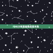 2023年是金兔还是木兔，2023年兔是什么命