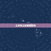 土羊和土蛇能婚配吗，属相，羊可以和蛇相配吗，好不好？