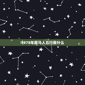 1978年属马人五行属什么，1978年属马腊月初十生五行中缺什么