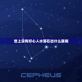 世上没有好心人水落石出什么属相，水落石出；是什么生肖？