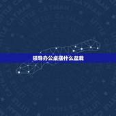 领导办公桌摆什么盆栽，有哪些适合放在办公桌的盆景植物？