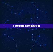95猪女和95猪男婚配指数，95年猪肖男和95年猪肖女可否婚配？