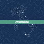 八字印星查询表，级大官四柱特征