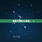 属虎不宜配什么属相，属虎的和什么属相最配？