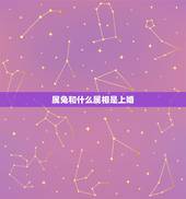 属兔和什么属相是上婚，属兔和什么属相最配