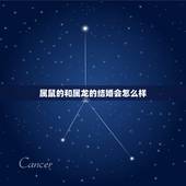 属鼠的和属龙的结婚会怎么样，男鼠和女龙结婚好不好