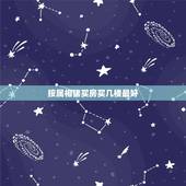 按属相猪买房买几楼最好，准备买房，1983年属猪的，从风水学角度选21