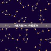 12生肖在2022年的运势，2022年生肖属马人流年运程