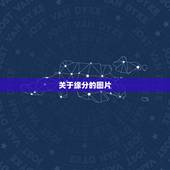 关于缘分的图片，图片是缘份的图片？