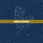 属蛇的几月出生好，属蛇的上等时辰
