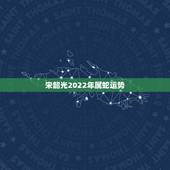 宋韶光2022年属蛇运势，蛇人2022年全年运势详解