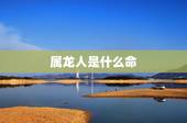 属龙人是什么命，1988年属龙2022 年运势