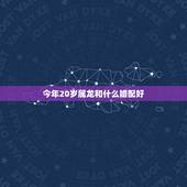 今年20岁属龙和什么婚配好，我今年28我是属龙我要找什么属相最合适呢！