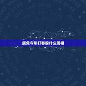 属兔今年打春躲什么属相，农历八七年腊月二十五生肖是什么，已经立春
