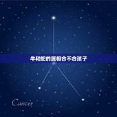 牛和蛇的属相合不合孩子，属蛇和属牛的子女缘怎么样？