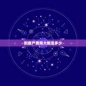 剖腹产费用大概是多少，刨腹产住院期间一个人陪护可以吗