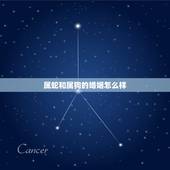 属蛇和属狗的婚姻怎么样，1994年的狗与蛇相配吗