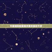 牛属相和蛇属相夫妻关系好不好，属牛和属蛇可以结为夫妻吗
