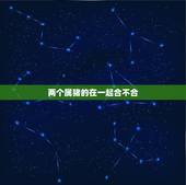 两个属猪的在一起合不合，两个属猪的人会相克吗
