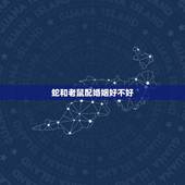 蛇和老鼠配婚姻好不好，屈蛇跟屈鼠的相配吗婚姻