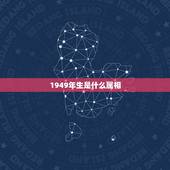 1949年生是什么属相，1949年出生属什么生肖