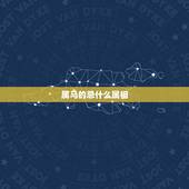 属马的忌什么属相，属马的找个什么生肖