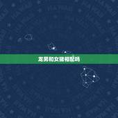 龙男和女猪相配吗，龙和猪属相相配吗
