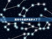 属羊今年虚岁是多大了，属性羊今年多少岁了