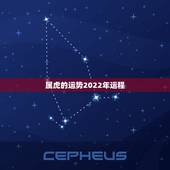 属虎的运势2022年运程，2021年属虎人的每月运势运程