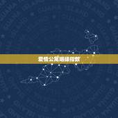 爱情公寓姻缘指数，爱情公寓微信万年历红娘预测姻缘假的吧？