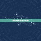 虎的对象是什么生肖，虎婚姻配什么更好