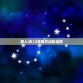 猪人2022年每月运势运程，2022属猪人的全年运势如何